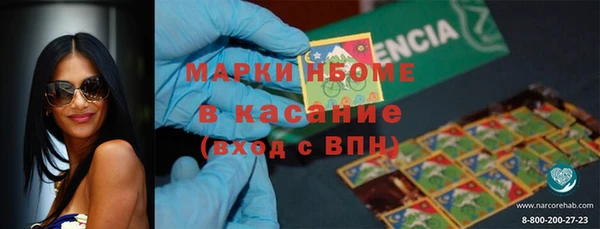стаф Алзамай