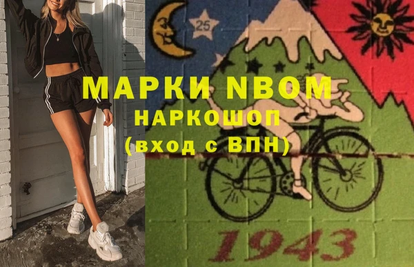 стаф Алзамай