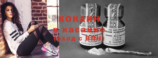 стаф Алзамай