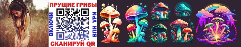 omg ссылка  купить   Бобров  Галлюциногенные грибы прущие грибы 